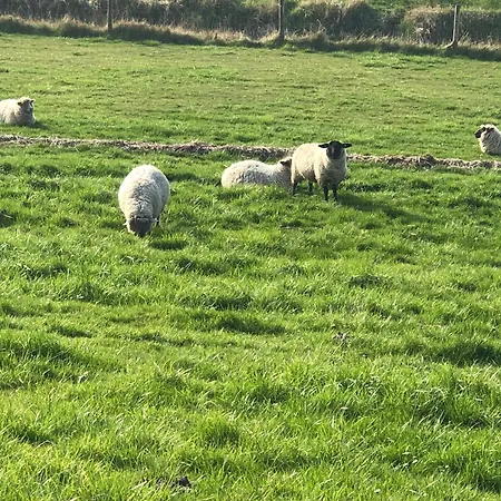 Deichkieker Butjadingen