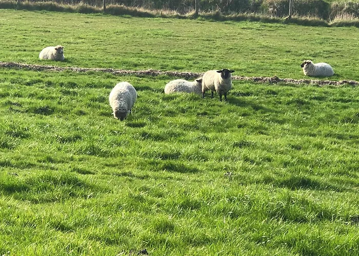 Deichkieker Butjadingen